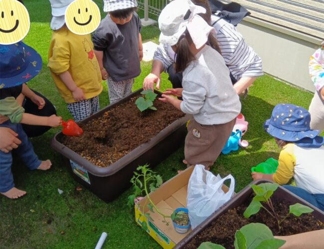 野菜の苗植えをしました♪