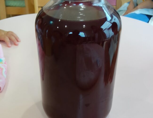 梅仕事　しそジュース作り