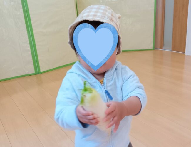 おでん大根の収穫♬