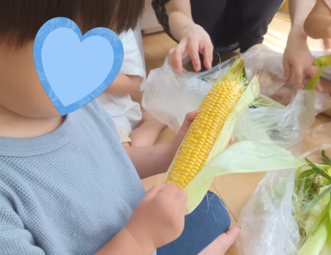 食育活動☆とうもろこしの皮むきをしました♪